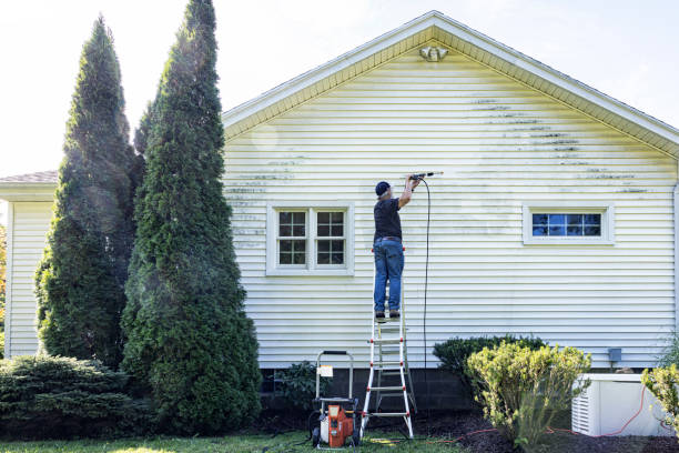 Trusted Lewistown, MT Pressure Washing Services Experts